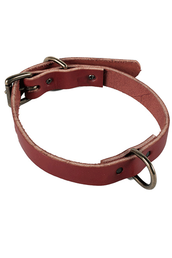Union Wood Co. Dog Collar - Brown Union Wood Co. Dog Collar - Brown