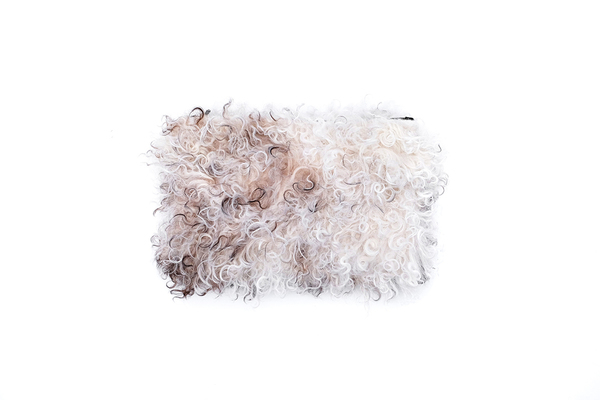 Primecut FURRY LAMB CLUTCH #2 Primecut FURRY LAMB CLUTCH #2