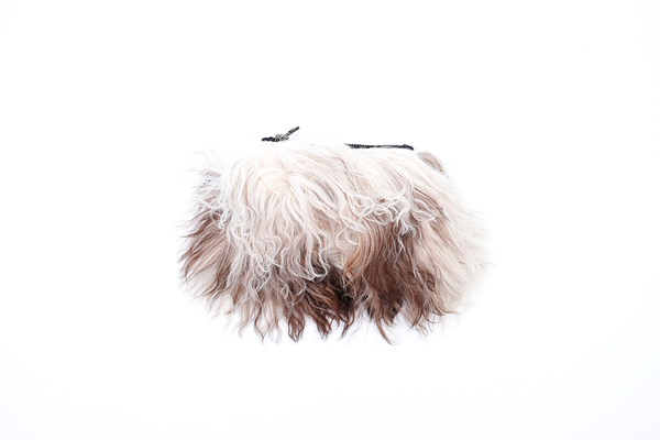 Primecut FURRY LAMB POUCH #11 Primecut FURRY LAMB POUCH #11