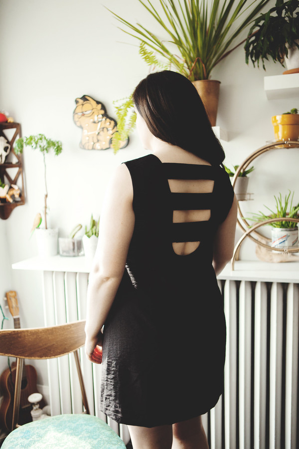 Birds of North America Grenadier Dress (Black) Birds of North America Grenadier Dress (Black)