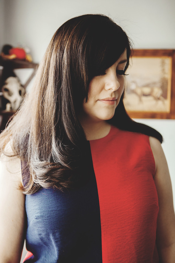 Birds of North America Vanga Dress (Red and Navy) Birds of North America Vanga Dress (Red and Navy)