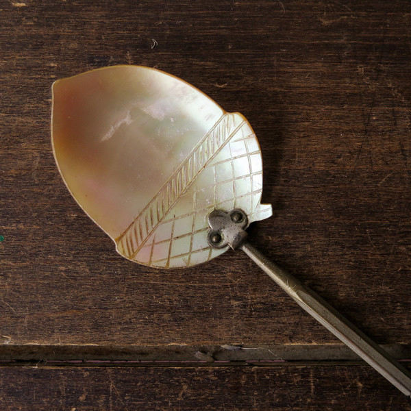 mother of pearl serving spoon mother of pearl serving spoon