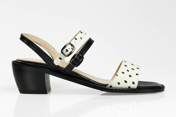 5yMedio Olivia Dalmatian 5yMedio Olivia Dalmatian