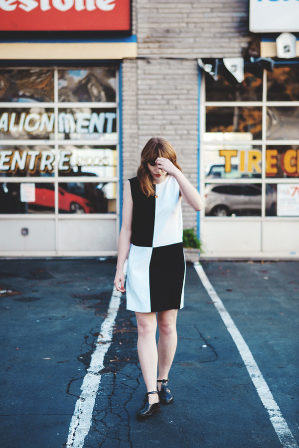 Birds of North America Vanga Dress (Black and White) Birds of North America Vanga Dress (Black and White)