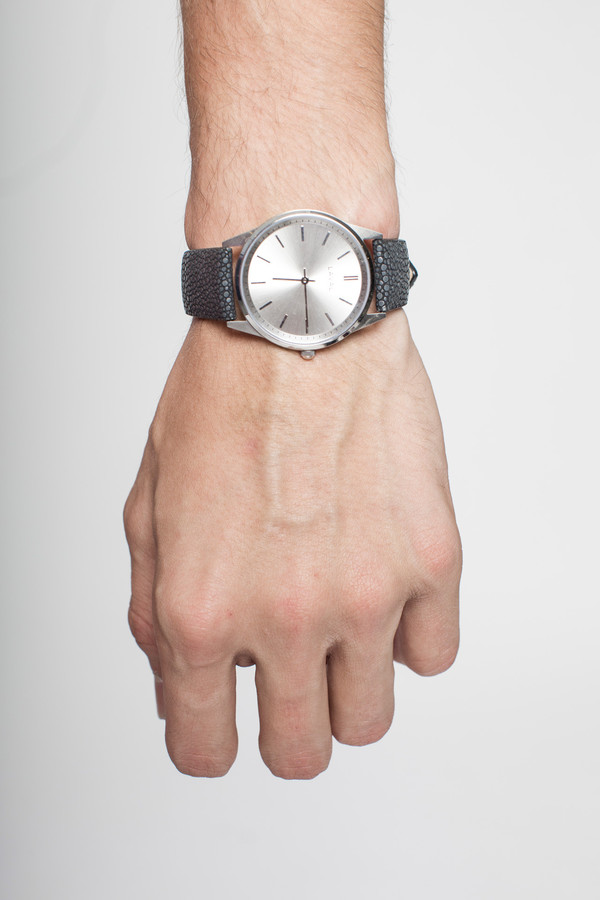 Laval Stingray in Silver Laval Stingray in Silver