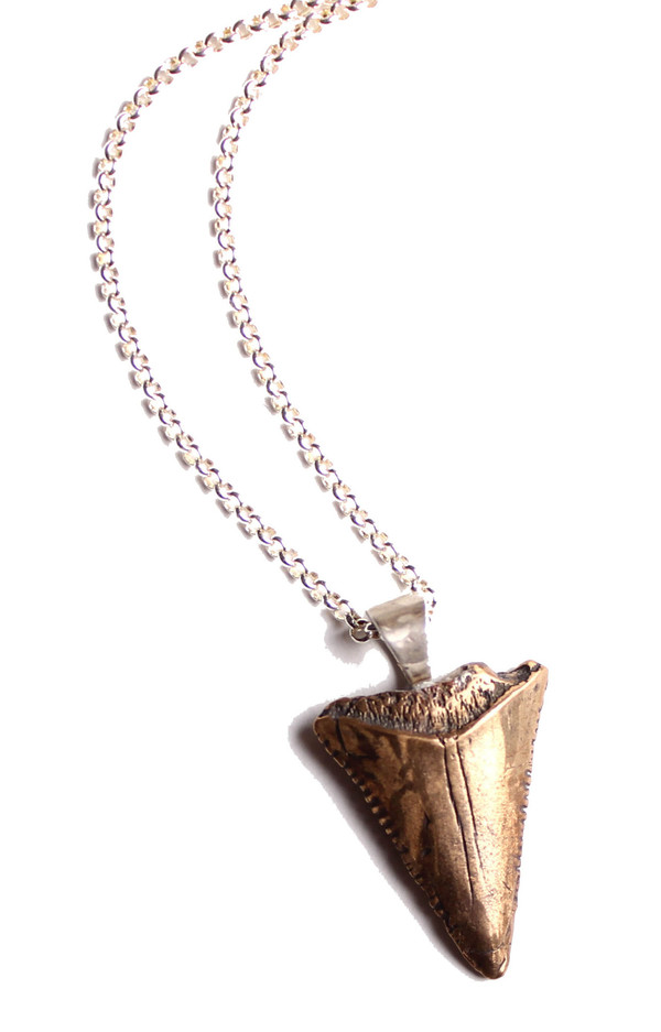 Sarah Dunn Shark Tooth on Silver Chain Sarah Dunn Shark Tooth on Silver Chain