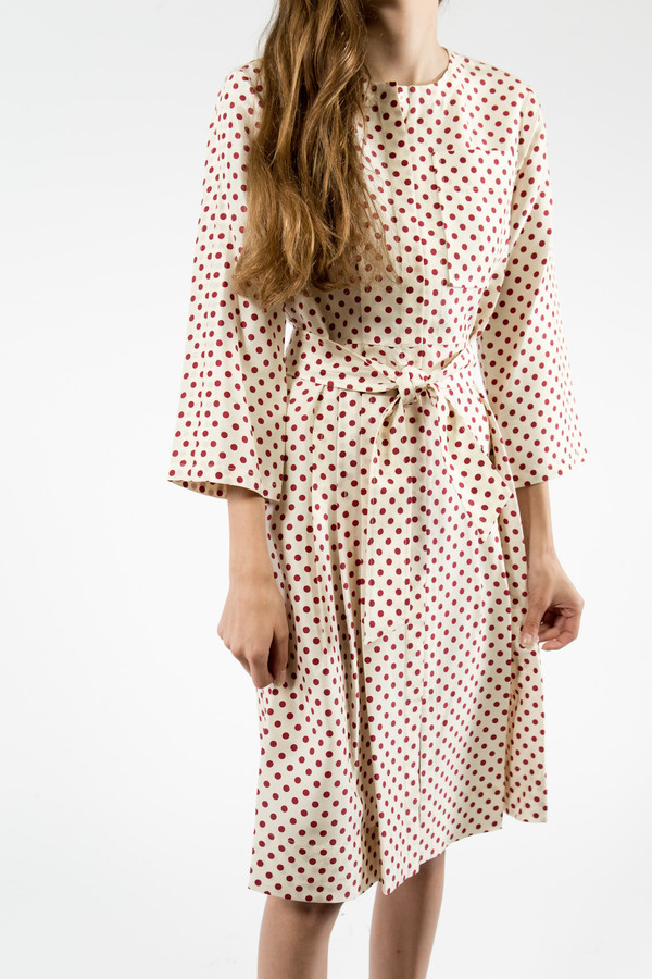 Trademark Polka Dot Silk Dress Trademark Polka Dot Silk Dress