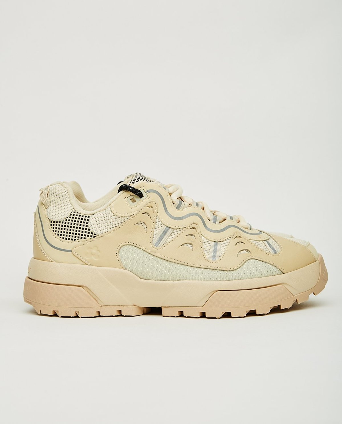 converse gianno biscotti