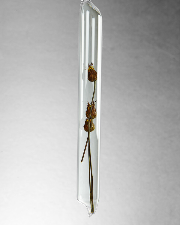 LBK Studio Encapsulation VII (Lavender) LBK Studio Encapsulation VII (Lavender)