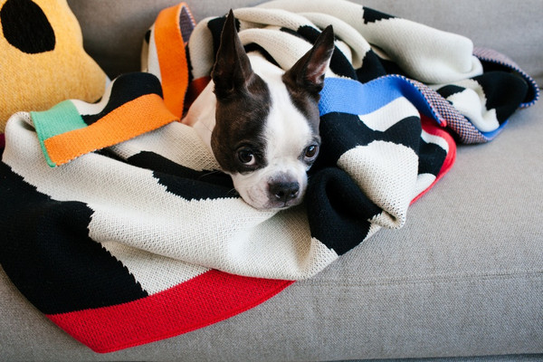 Shapes Throw Shapes Throw