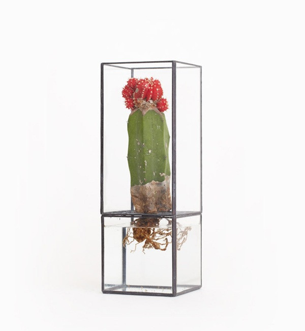 1012 Terra Hydro 80:160 Terrarium 1012 Terra Hydro 80:160 Terrarium