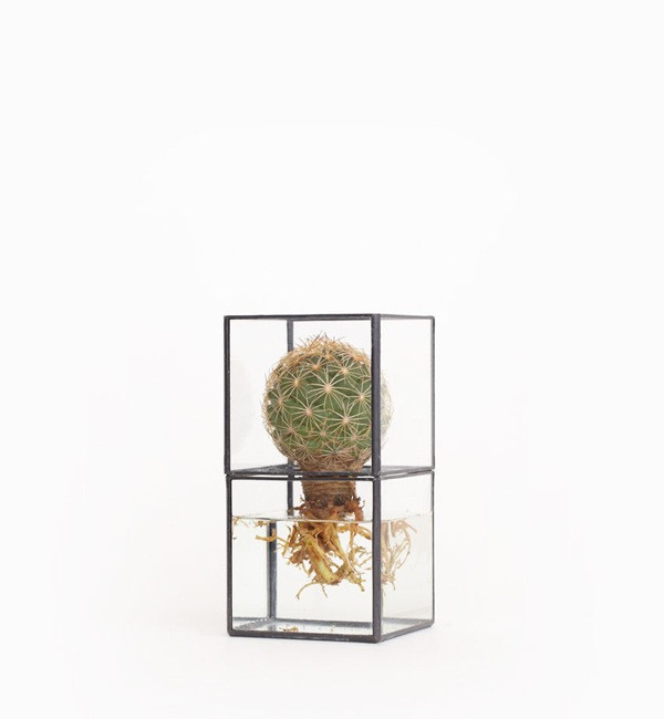 1012 Terra Hydro 80:80 Terrarium 1012 Terra Hydro 80:80 Terrarium