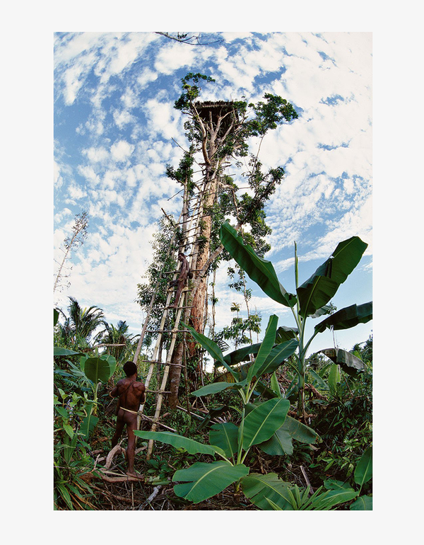 Taschen Tree houses fairy tale castles in the air hardcover Taschen Tree houses fairy tale castles in the air hardcover