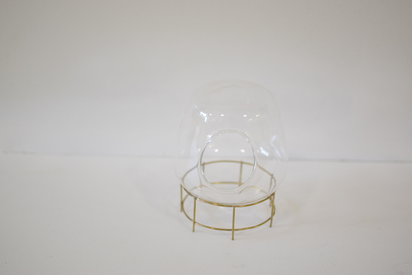 Roost Tabletop Terrarium Set Roost Tabletop Terrarium Set