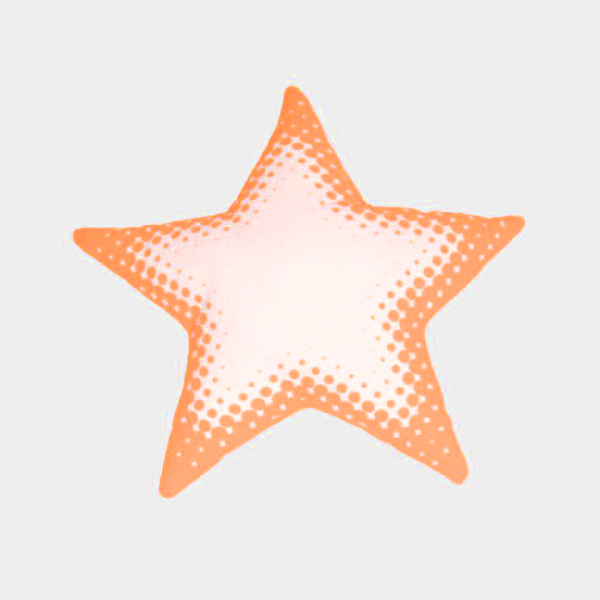 Ah, Quel Plaisir! Orange Circus Pillow - Dodo Les Bobos Ah, Quel Plaisir! Orange Circus Pillow - Dodo Les Bobos