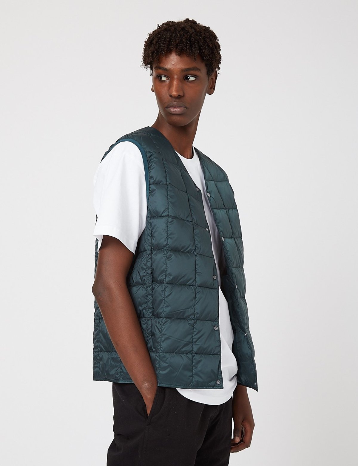 taion vest black