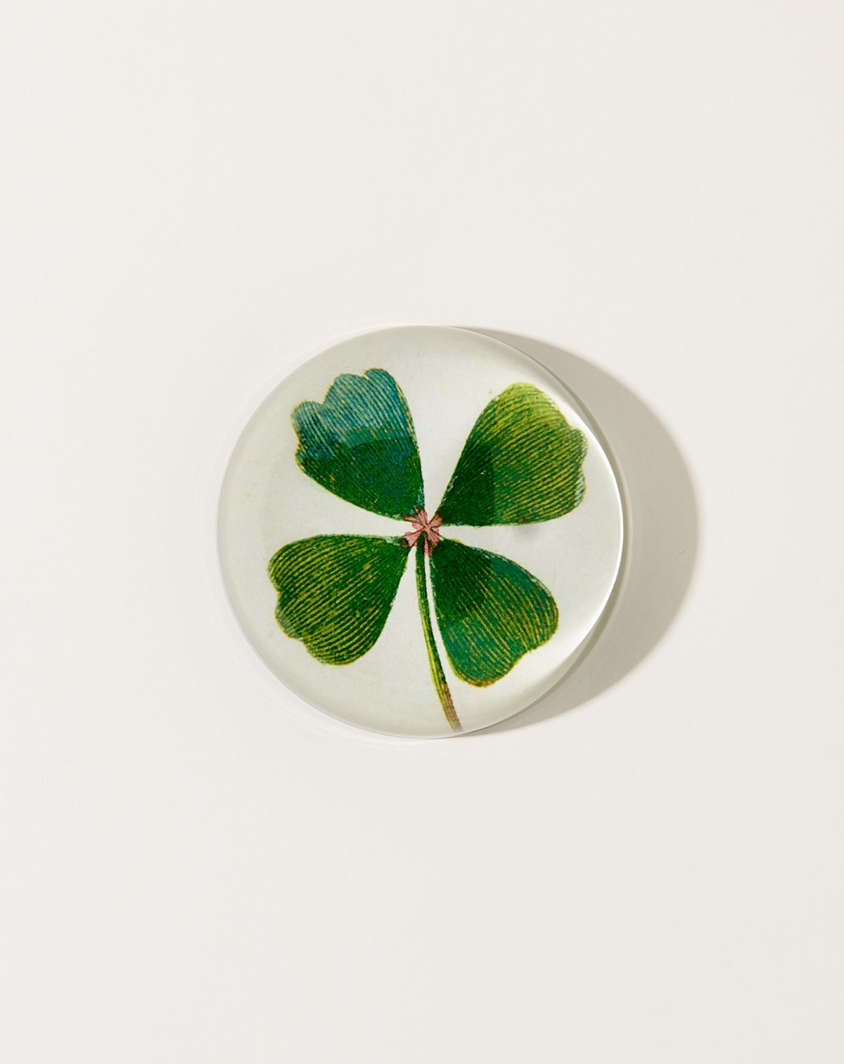 John Derian Clover Dome Paperweight Garmentory