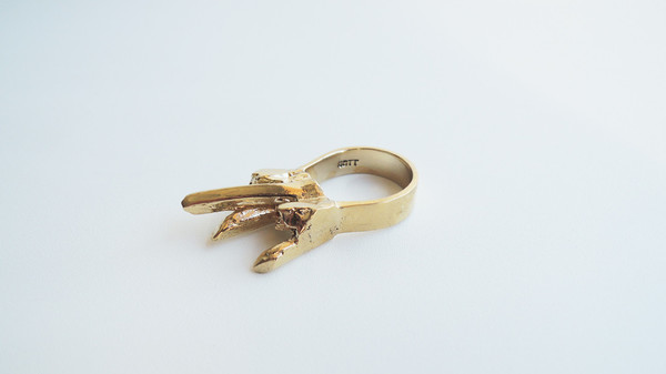 Species By The Thousands Gateway Ring Species By The Thousands Gateway Ring