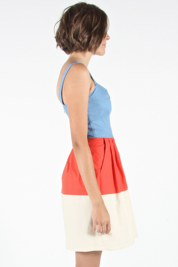 Birds of North America - Spinetail Dress Birds of North America - Spinetail Dress