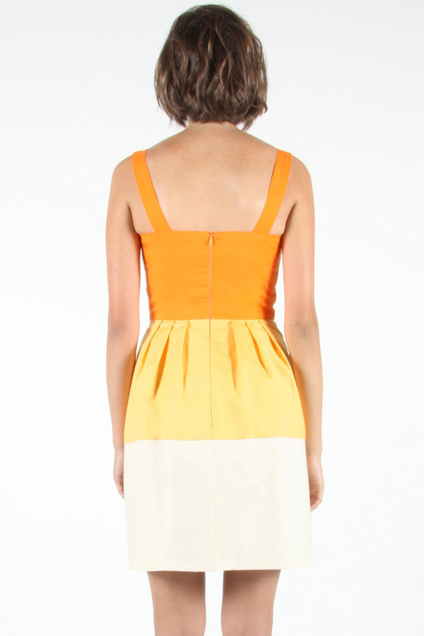 Birds of North America - Spinetail Dress Birds of North America - Spinetail Dress