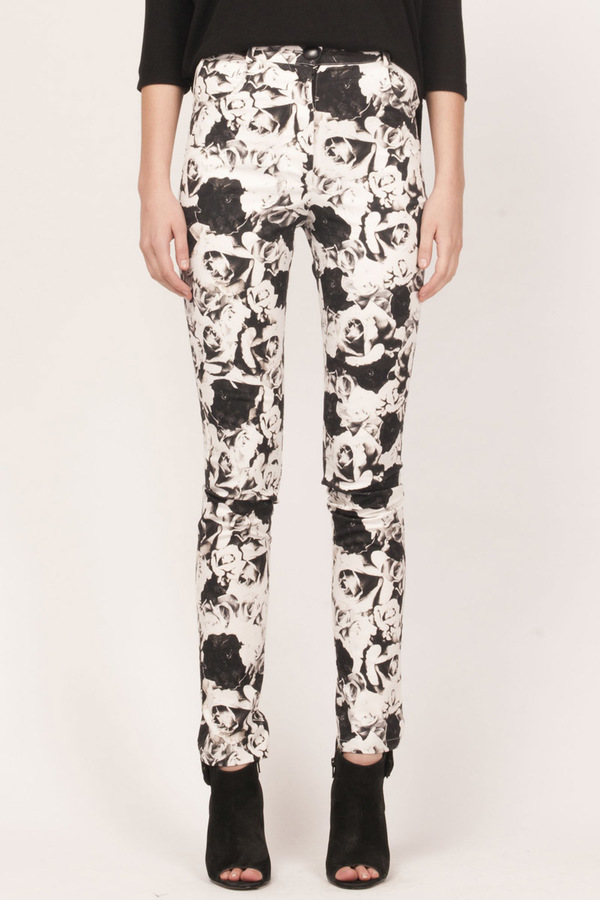 stewie pant stewie pant