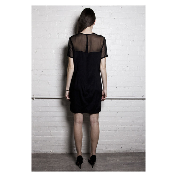 The Sheer Panel Dress The Sheer Panel Dress