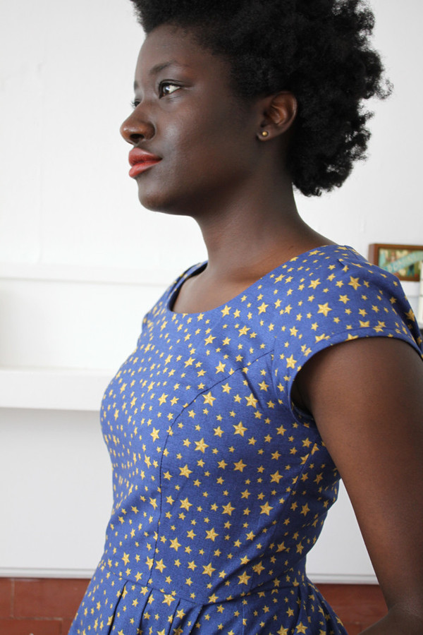 Birds of North America Macaw Dress Stars Print Birds of North America Macaw Dress Stars Print