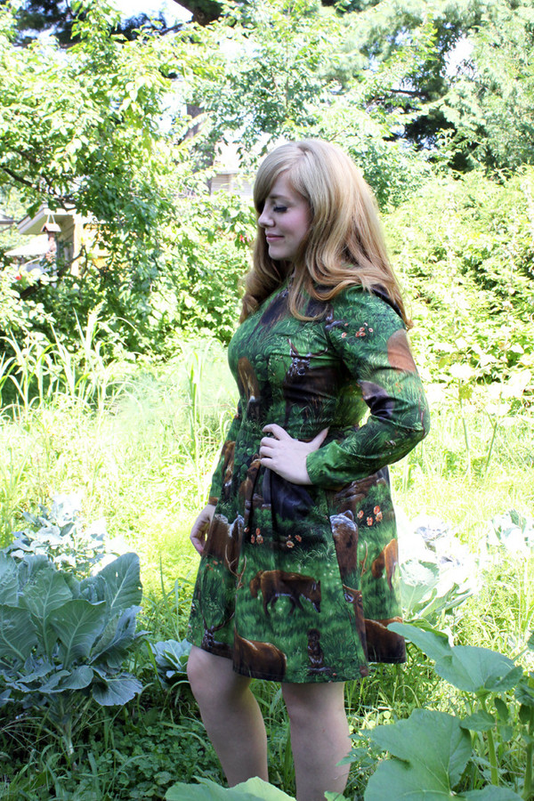 Birds of North America Puffbird Dress (Woods) Birds of North America Puffbird Dress (Woods)