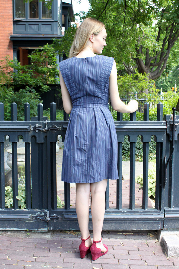 Birds of North America Piping Guan Dress (Blue Stripe) Birds of North America Piping Guan Dress (Blue Stripe)