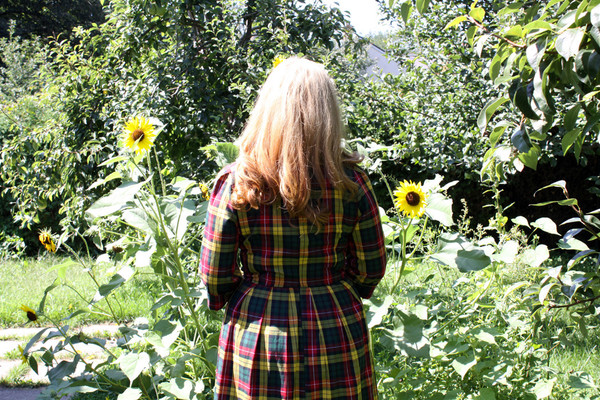 Birds of North America Wood Rail Dress (Buchanan Plaid) Birds of North America Wood Rail Dress (Buchanan Plaid)