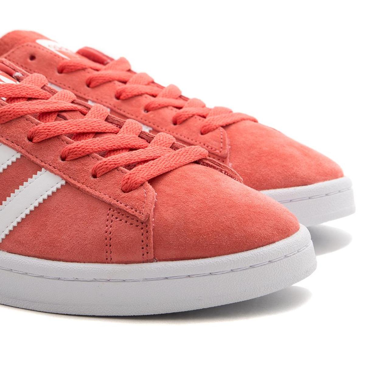 adidas campus corail